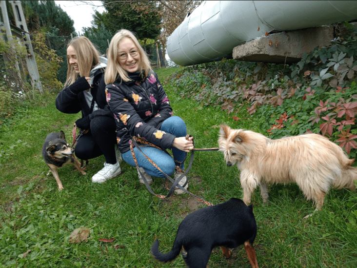 Dzień Kundelka 2024