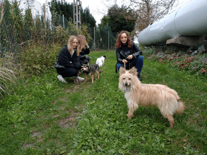 Dzień Kundelka 2024