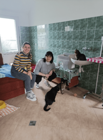 Dzień Kundelka 2024