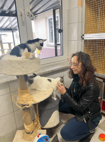 Dzień Kundelka 2024