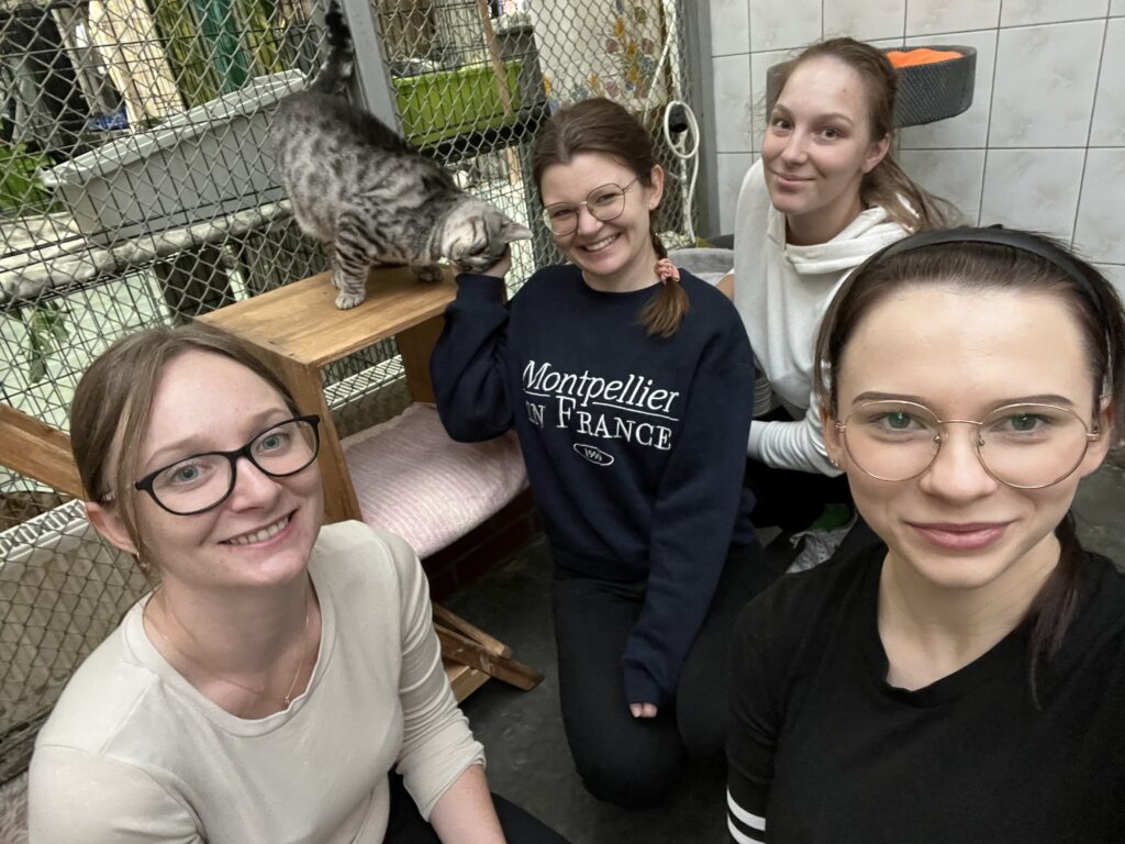 Dzień Kundelka 2025