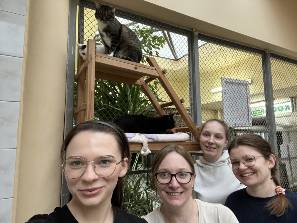 Dzień Kundelka 2025