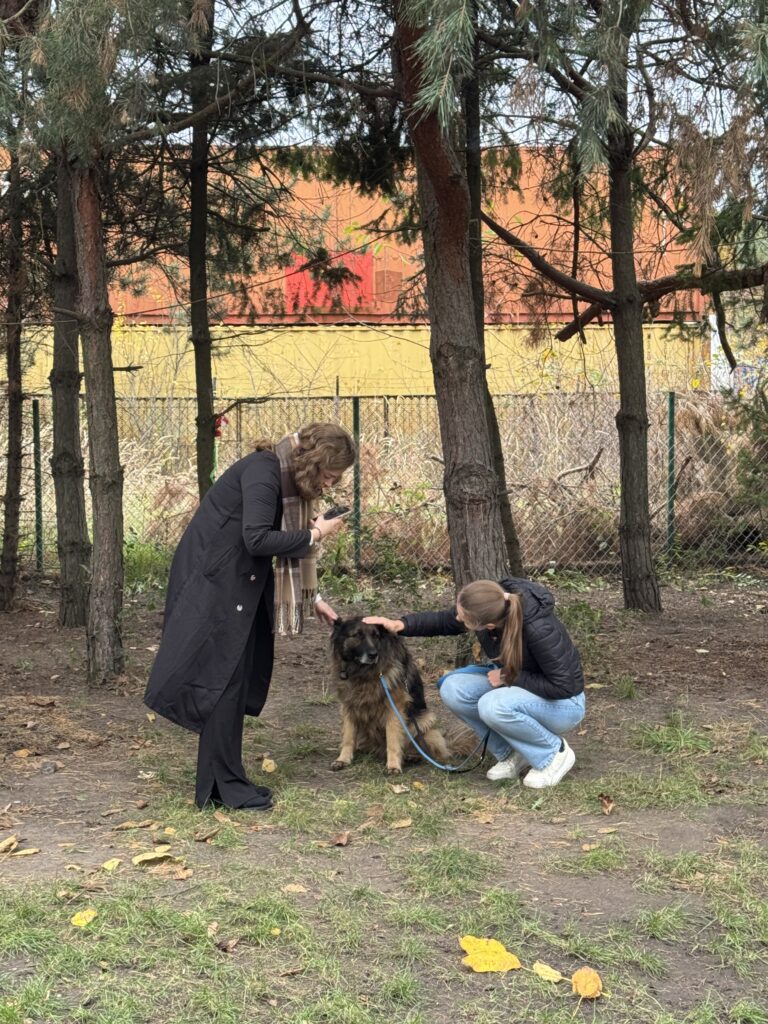 Dzień Kundelka 2025