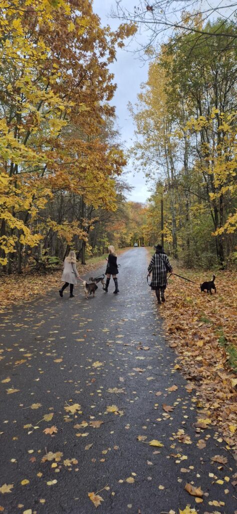 Dzień Kundelka 2025