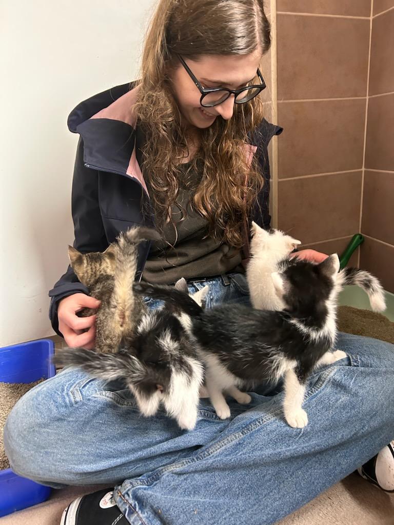 Dzień Kundelka 2025