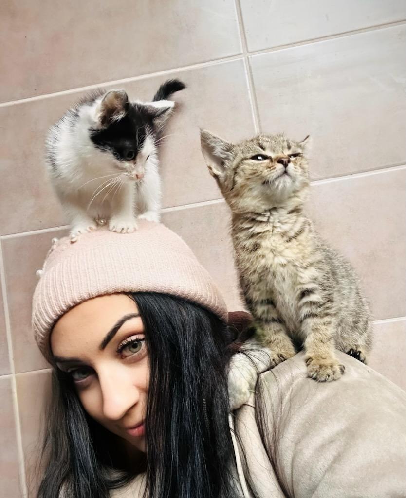 Dzień Kundelka 2025