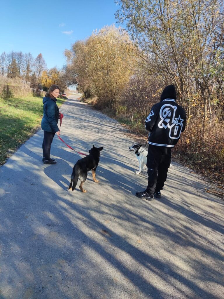 Dzień Kundelka 2025