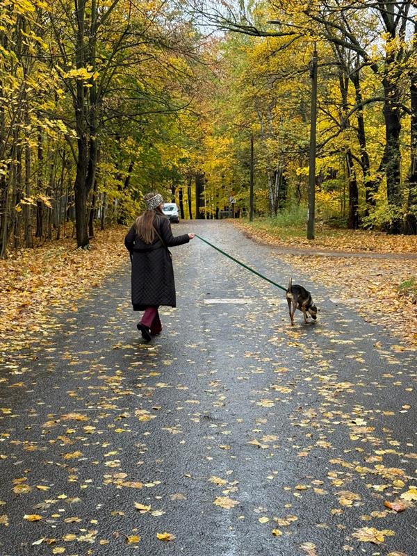 Dzień Kundelka 2025